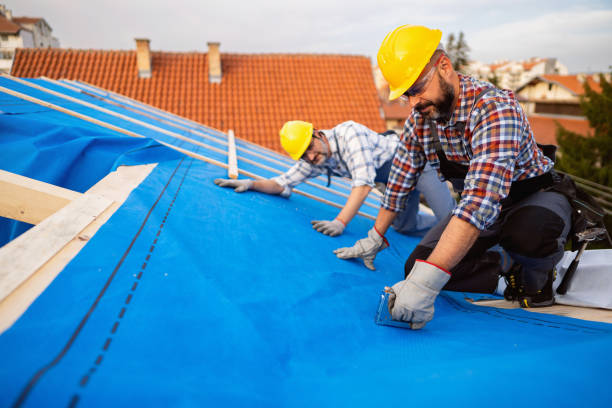 Best Best Roofing Contractors  in Horse Cave, KY