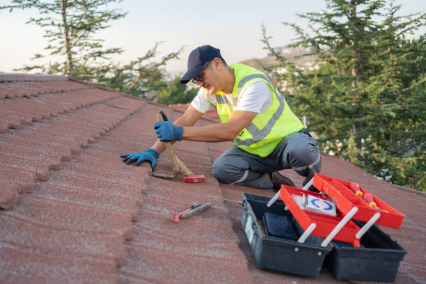 Best Local Roofing Companies  in Horse Cave, KY